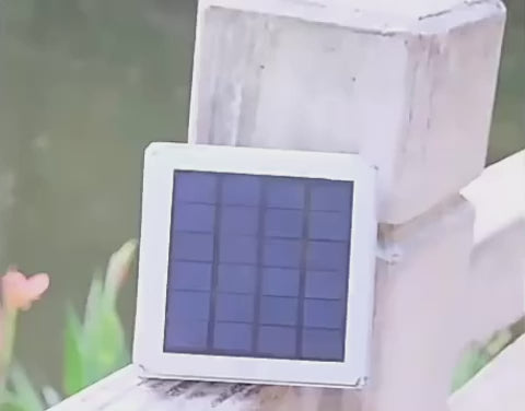 Lunaris Solar Pillar Light